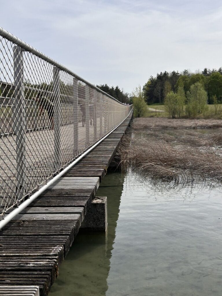 Verbreiterung der Brücke über den Riemer See